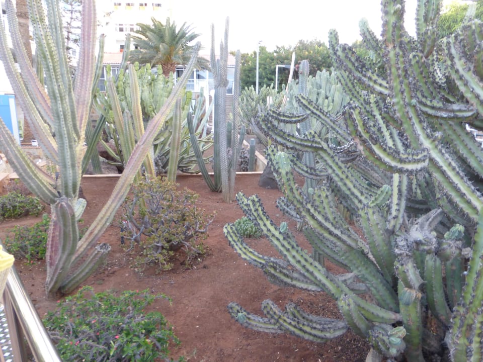 Neben Haupteingang Hotel Europalace