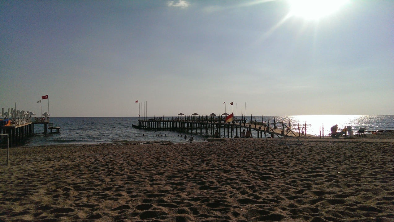 Hotelstrand super sauber                           Dizalya Palm Garden