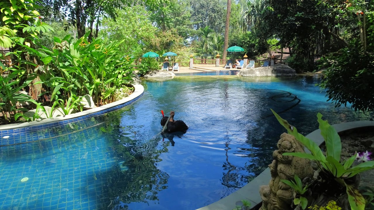 Mein Pool Khao Lak Merlin Resort