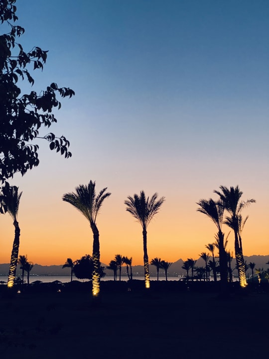 Ausblick ROBINSON SOMA BAY