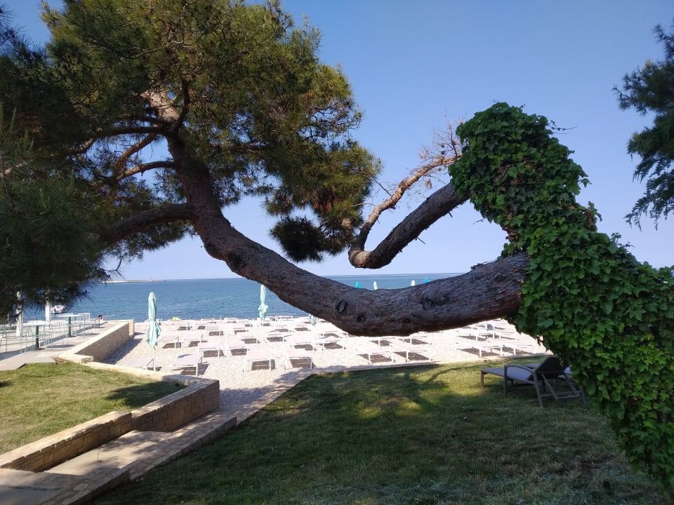 Strand Valamar Parentino Hotel