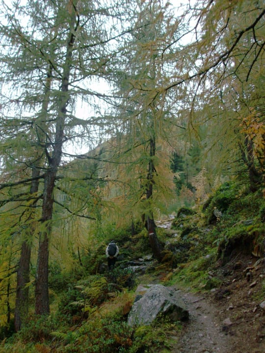 Si sale verso Cima Quaira Hotel Florian