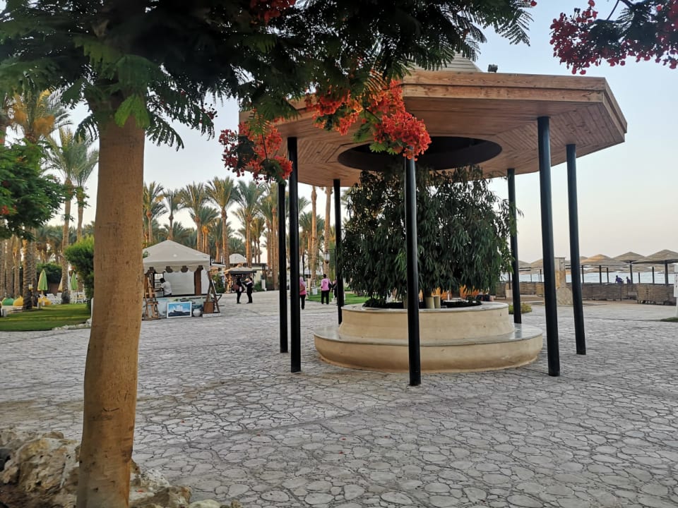 Strand Makadi Spa - Adults only