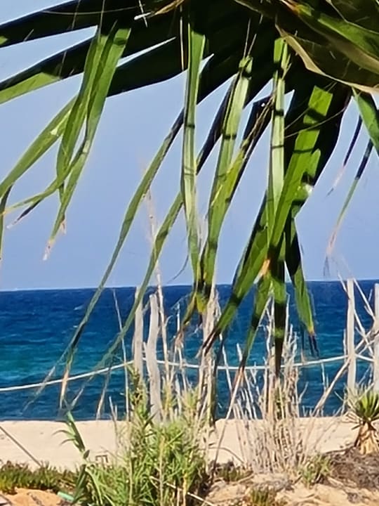 Strand Hotel Paradis Palace