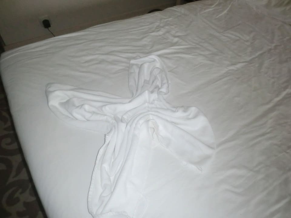 Ein altes Handtuch und nicht so sauber Aydinbey Kings Palace & Spa