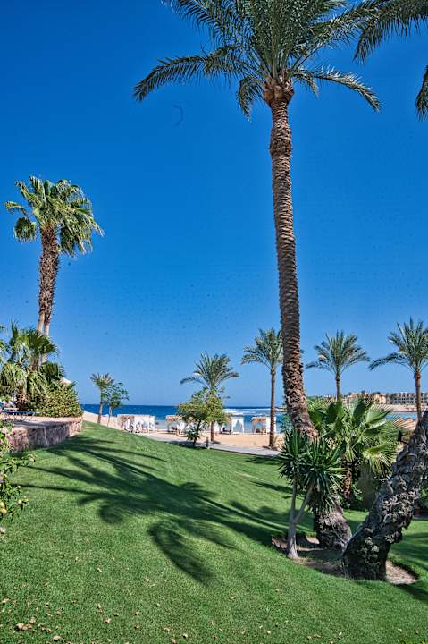 Gartenanlage Steigenberger Coraya Beach - Adults only