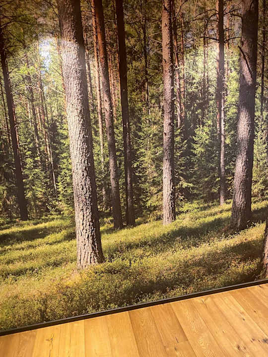 Zimmer Riverside Hotel