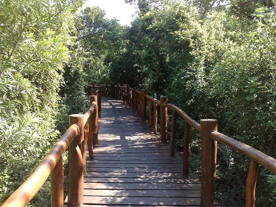 Gartenanlage Grand Palladium Select White Sand Resort & Spa