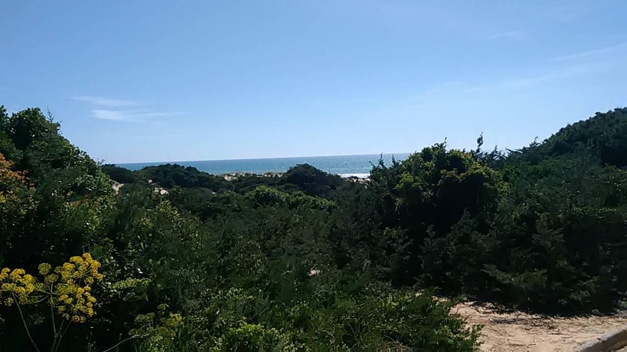 Stranddünen Hipotels Barrosa Garden