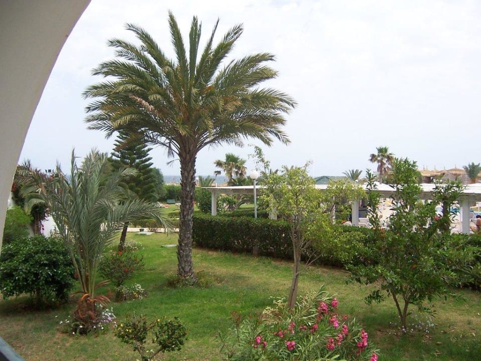 Ausbick vom Zimmer Hotel El Mouradi Palm Marina