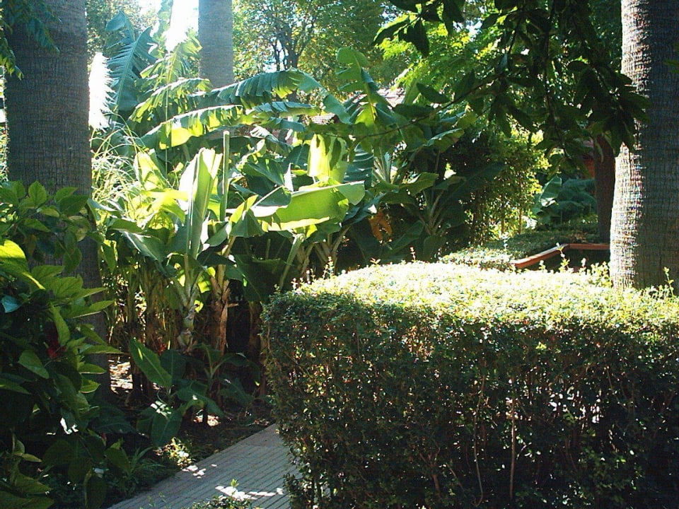 Der Weg zu unseren Haus Can Garden Beach