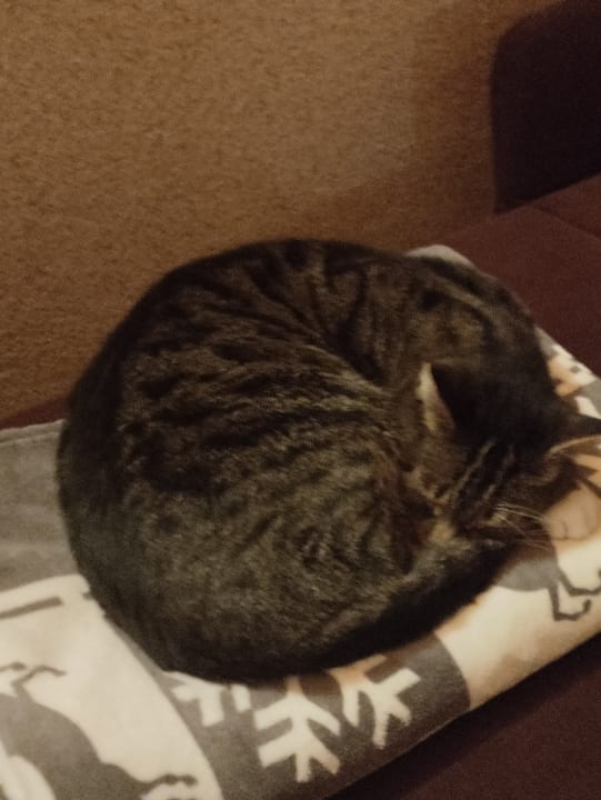 Sonstiges Ferienwohnung Voigt