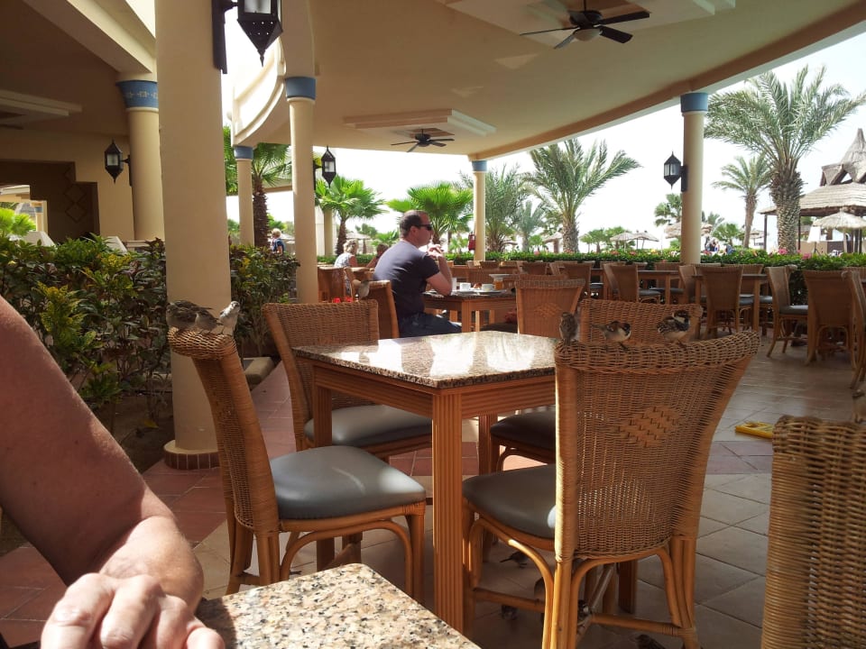 Hungrige Spatzen Hotel Riu Karamboa