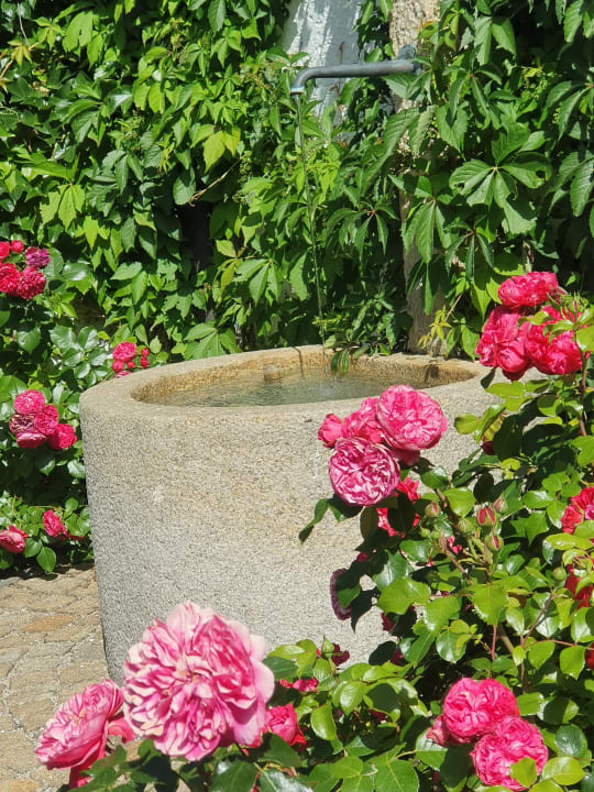 Gartenanlage Hotel Christiane