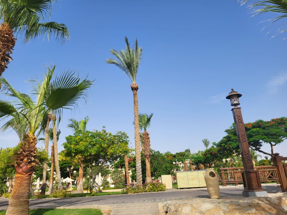 Gartenanlage Steigenberger ALDAU Beach Hotel