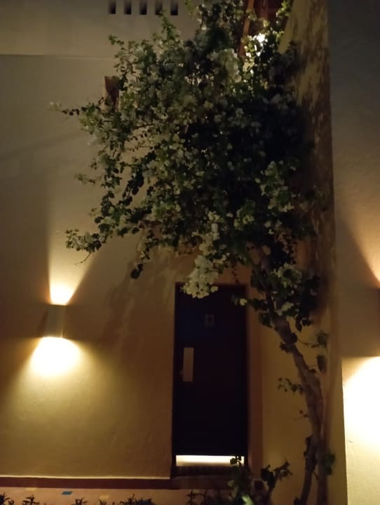 Gartenanlage Steigenberger Coraya Beach - Adults only