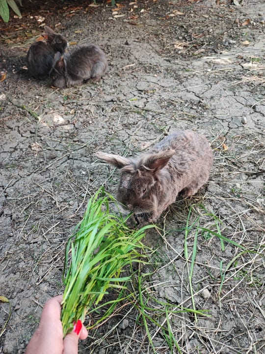 Sport & Freizeit Ferienhof Schmid