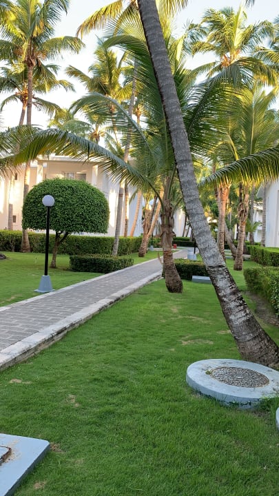 Außenansicht Hotel Riu Bambu