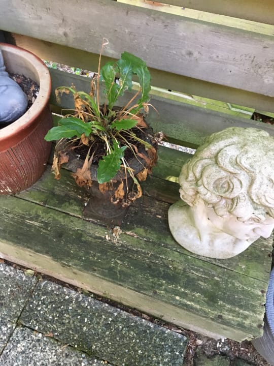 Sonstiges Hotel 1900