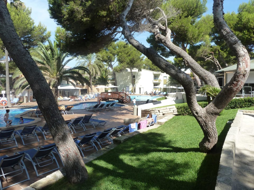 Vom Buffet aus Iberostar Selection Playa de Muro Village