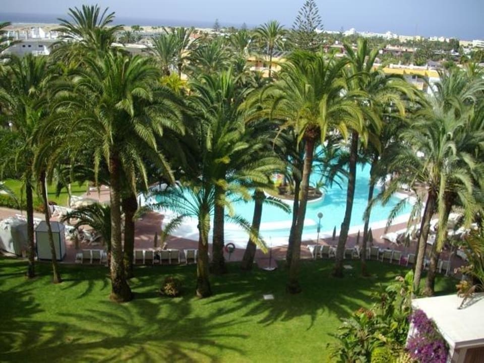 Pool Hotel Riu Palace Palmeras