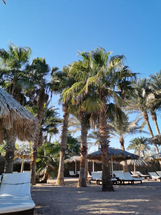 Strand Sindbad Club
