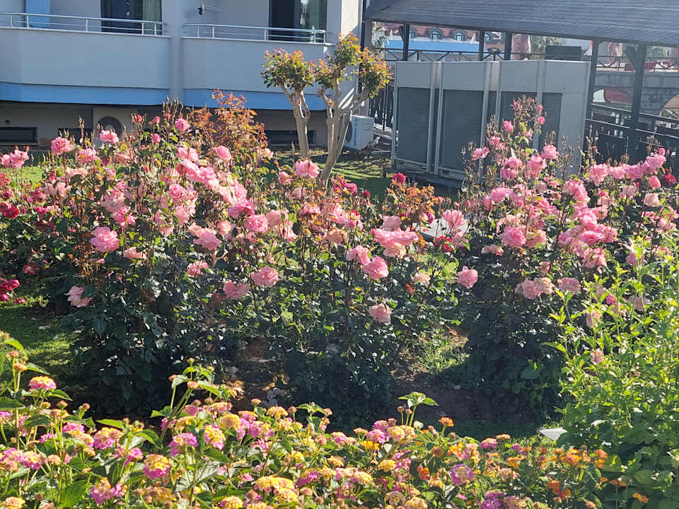 Gartenanlage Grand Seker Hotel