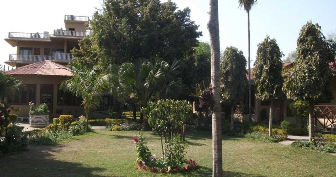 Resort compound with dinning hall and building Eden Jungle Resort