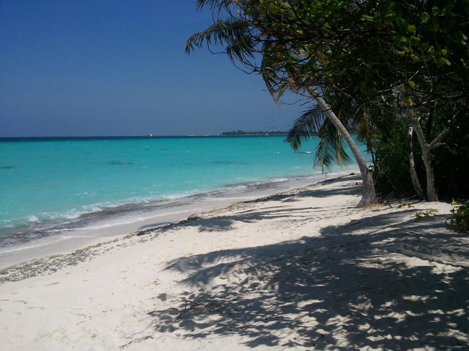 Traumstrand Kuramathi Maldives