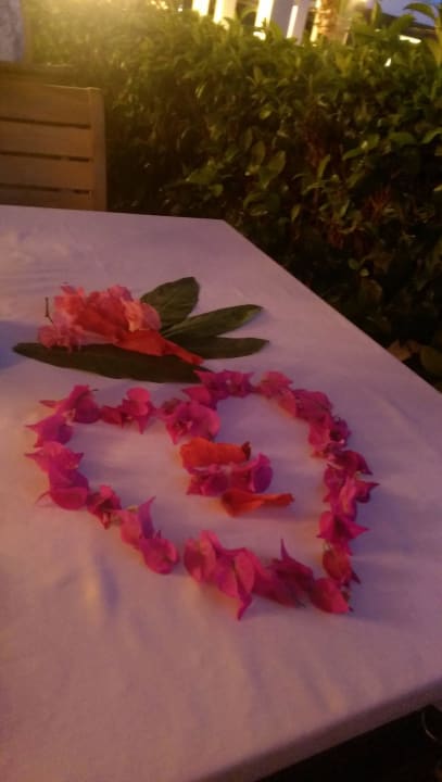 So lieb immer dekoriert, danke nochmal Isak und Yal Sunis Elita Beach Resort & Spa