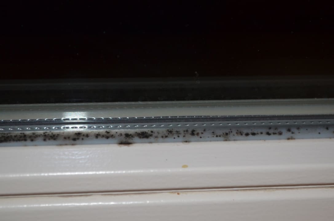 Bio-Schimmel 1 Biohotel Stiftsgut Wilhelmsglücksbrunn