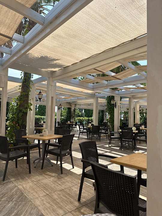 Sonstiges Serenis Hotel