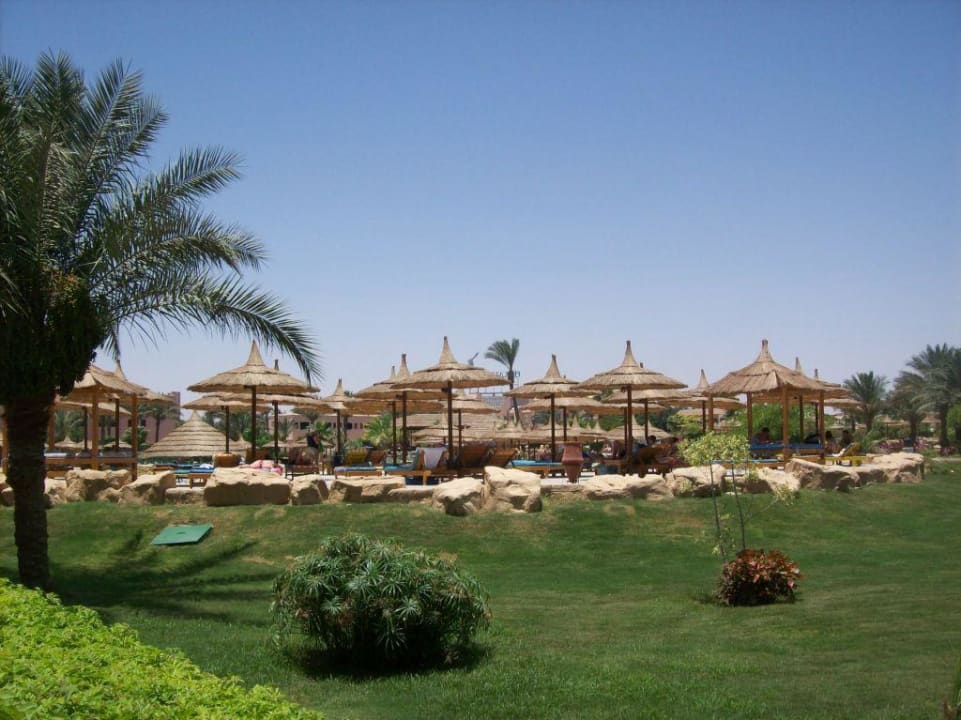 Pool in der Anlage Beach Albatros Resort