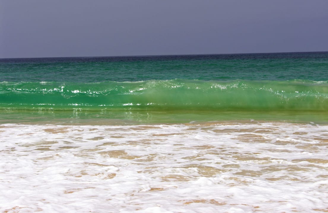 Sieht nur so zahm aus - kann einen mitreissen Hotel Riu Touareg