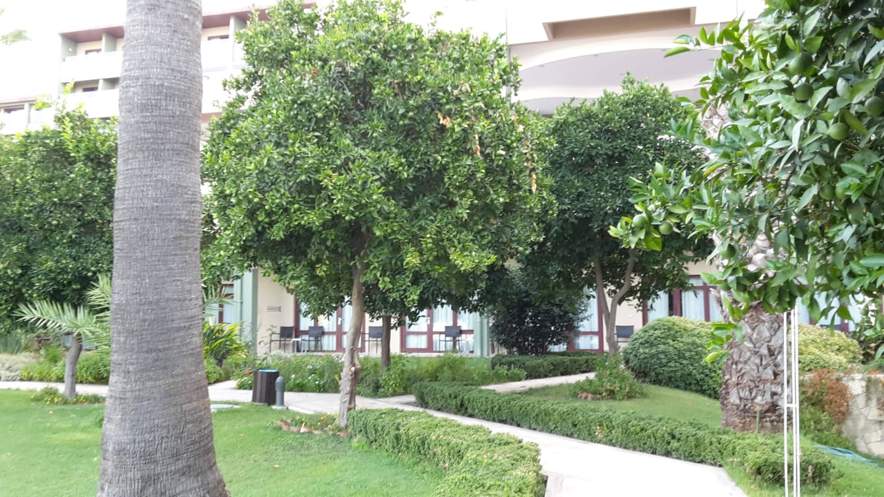 Weg zum Haupthaus Hotel Grand Side