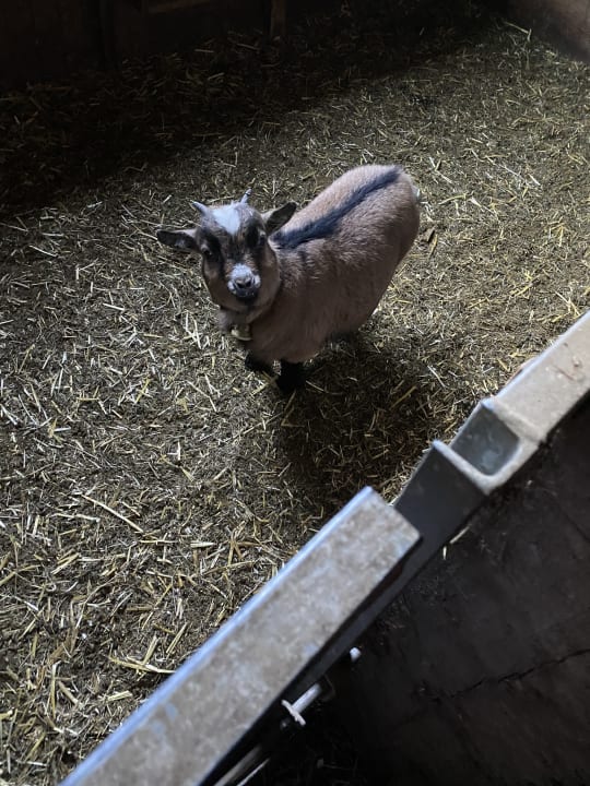 Sport & Freizeit Feriendorf Holzleb'n