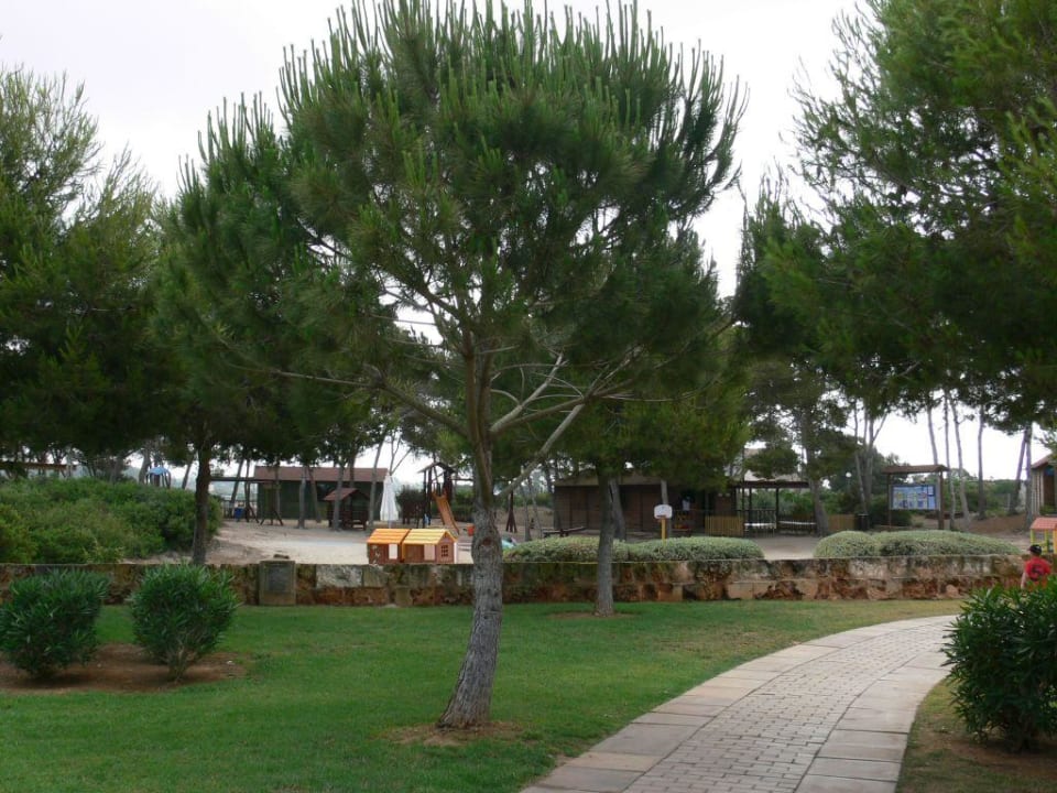 Blaudiclub Blau Colònia Sant Jordi