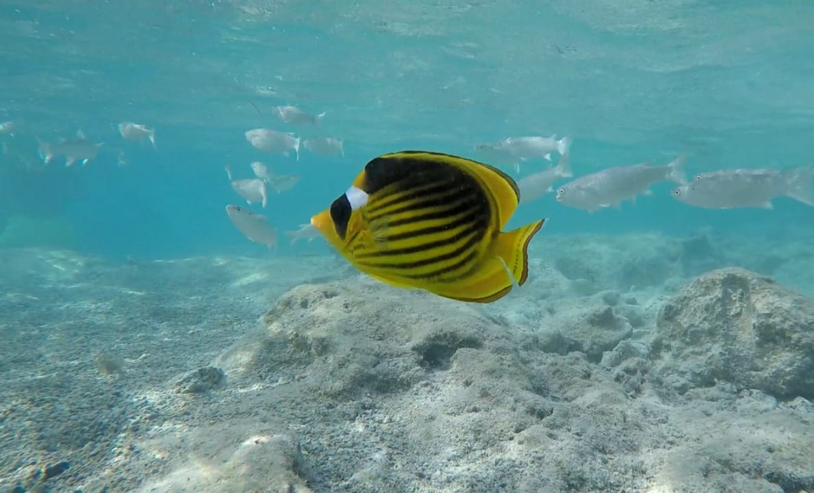 Strand Three Corners Sea Beach Resort