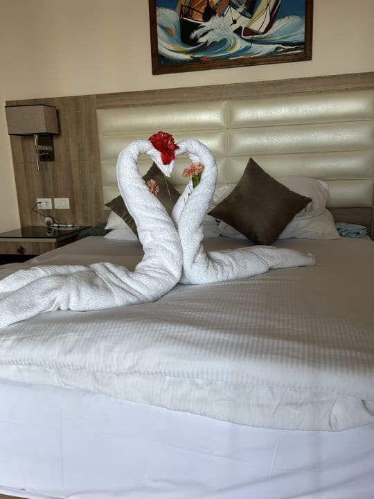 Zimmer Pickalbatros Citadel Resort