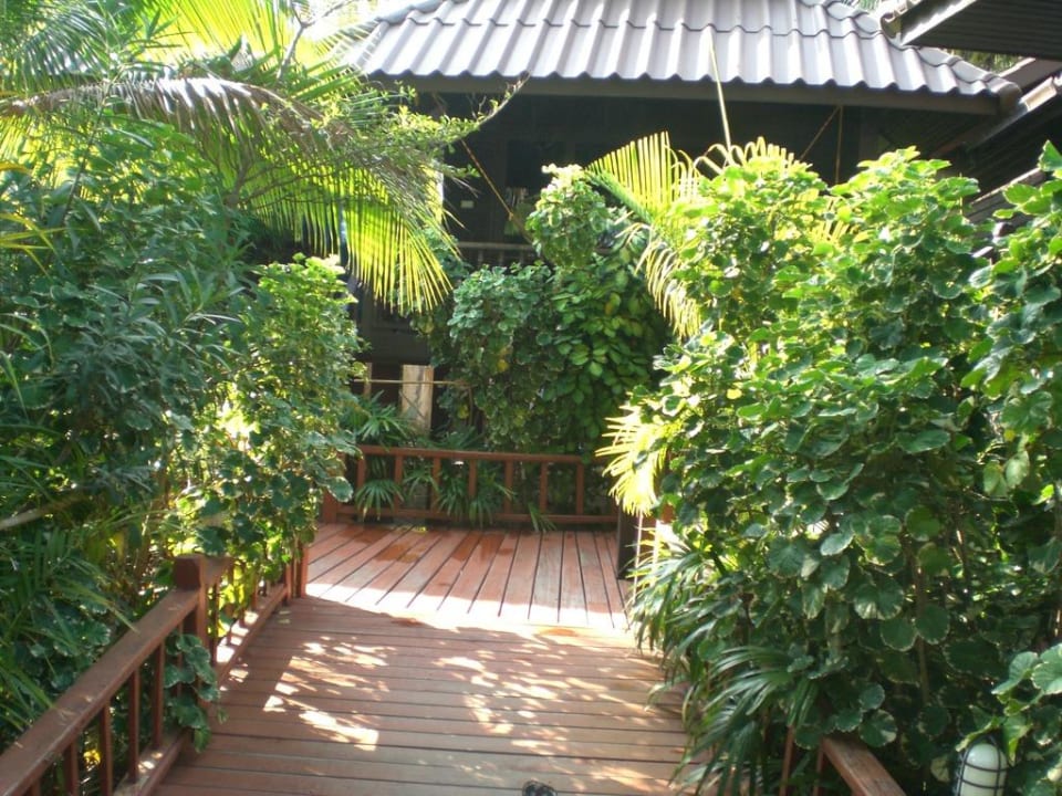 Blick aufs Zimmer vom Garten Hotel Salad Hut