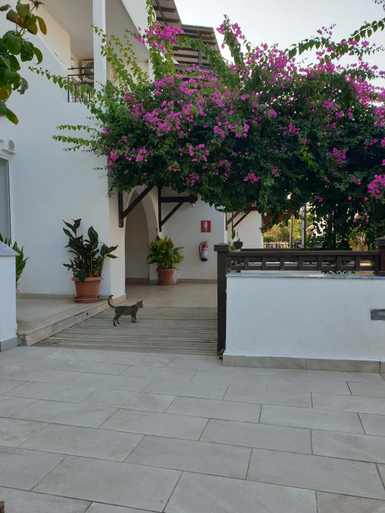 Außenansicht Forever Club