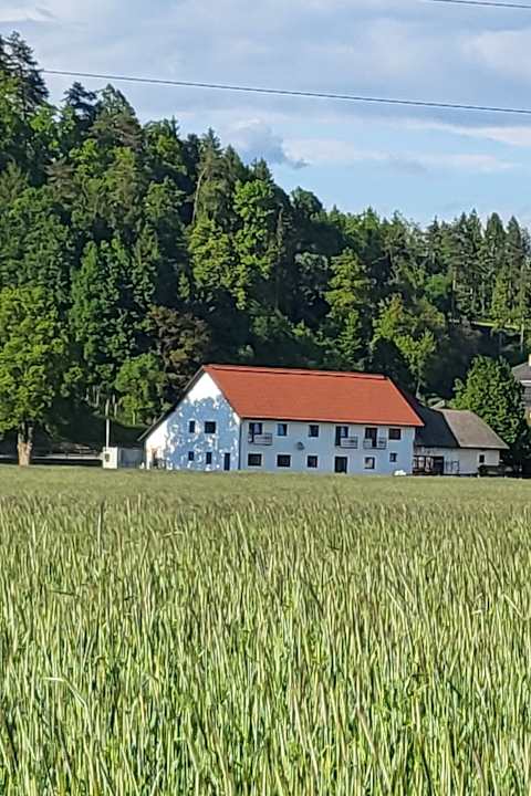 Außenansicht Appartements und Vinoteka David