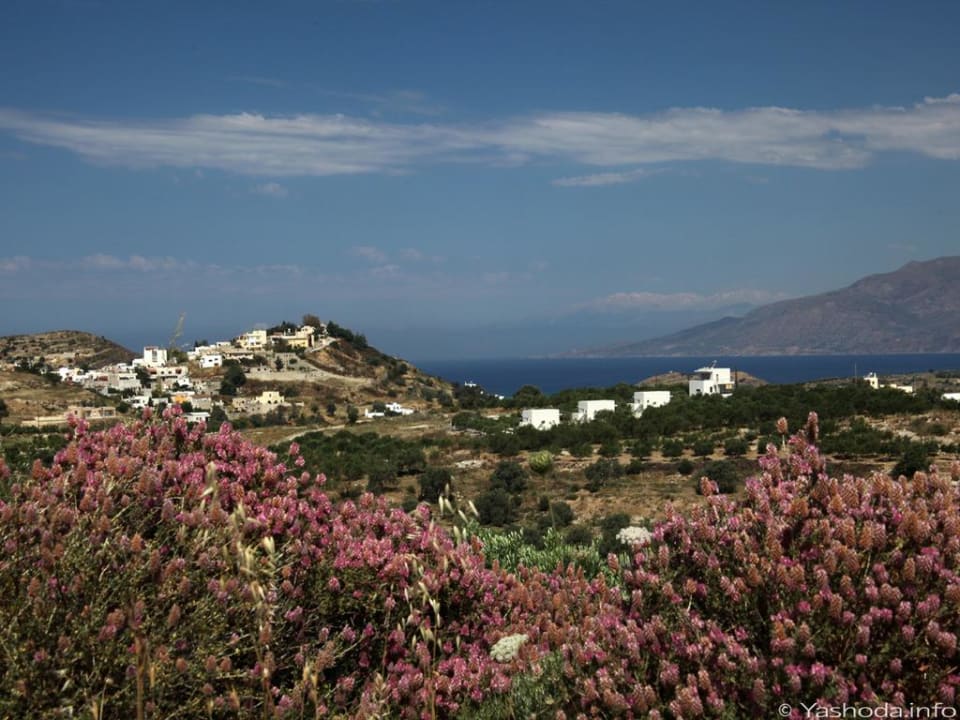 Niriida Guest House mit Blick auf Kamilari und Meer Niriida Guesthouse