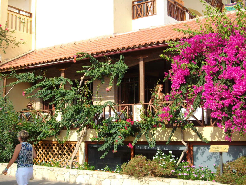Das Restaurant - von Blüten umgeben Cactus Beach