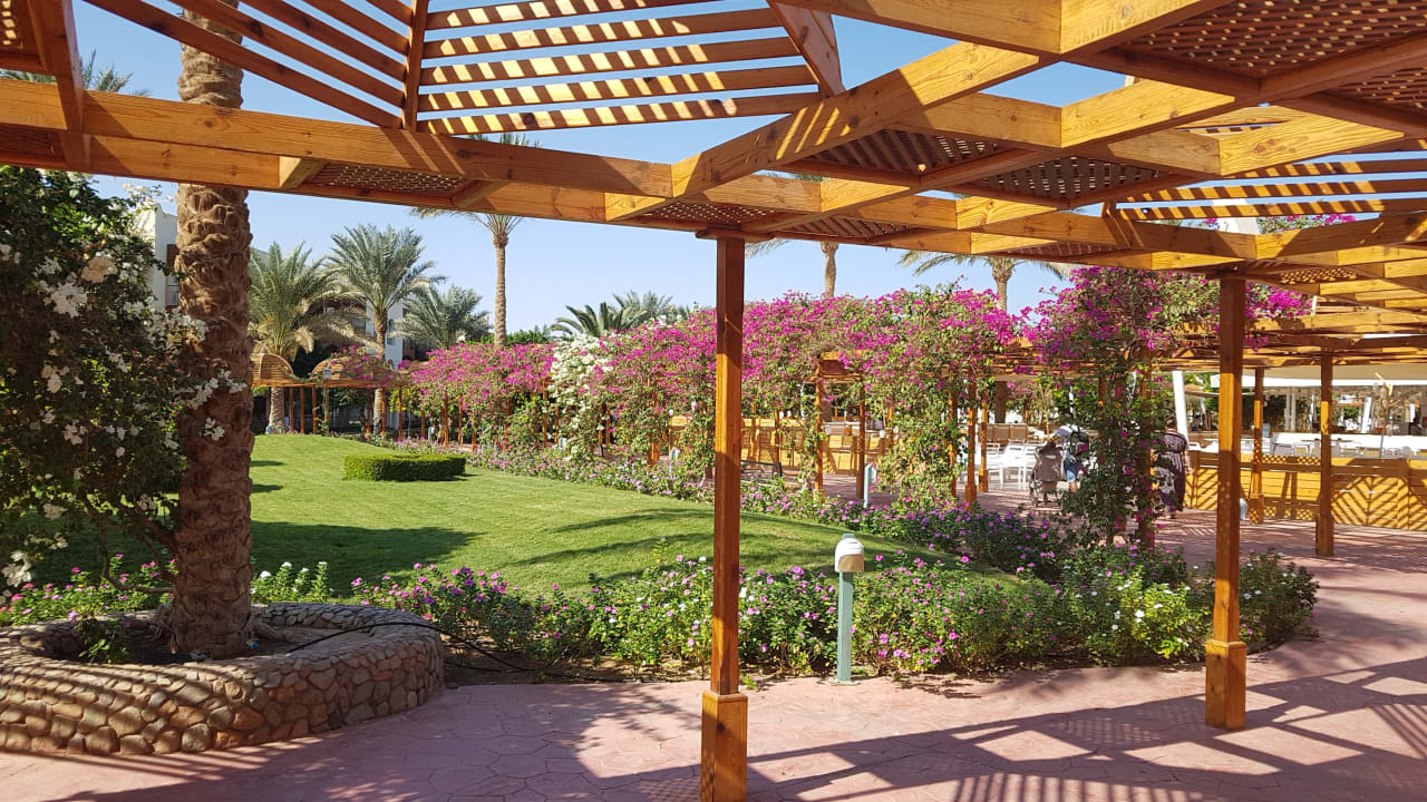 Gartenanlage Desert Rose