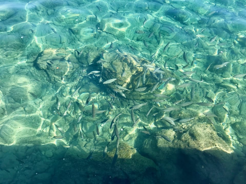 Strand MarBella, Mar-Bella Collection