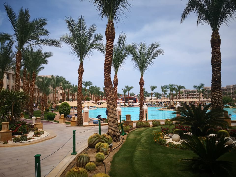 Pool Pickalbatros Palace Resort