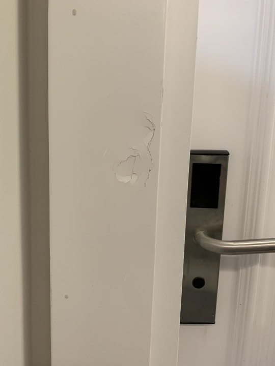 Zimmer Dream Water World