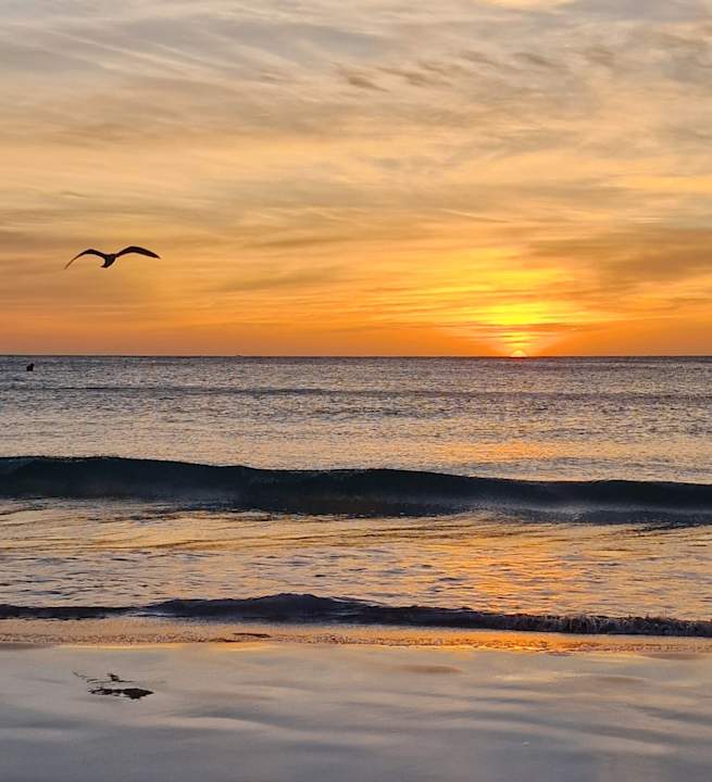 Strand Hipotels Mediterraneo