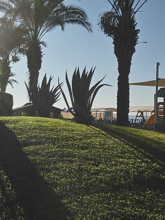 Gartenanlage IC Hotels Green Palace